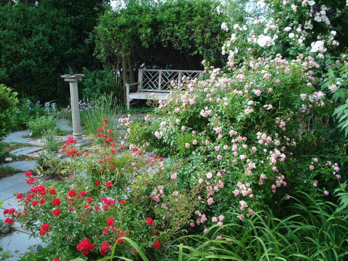 Newport House Bed & Breakfast Γουίλιαμσμπεργκ Εξωτερικό φωτογραφία